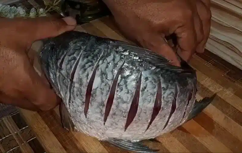 apply cuts on the whole fish