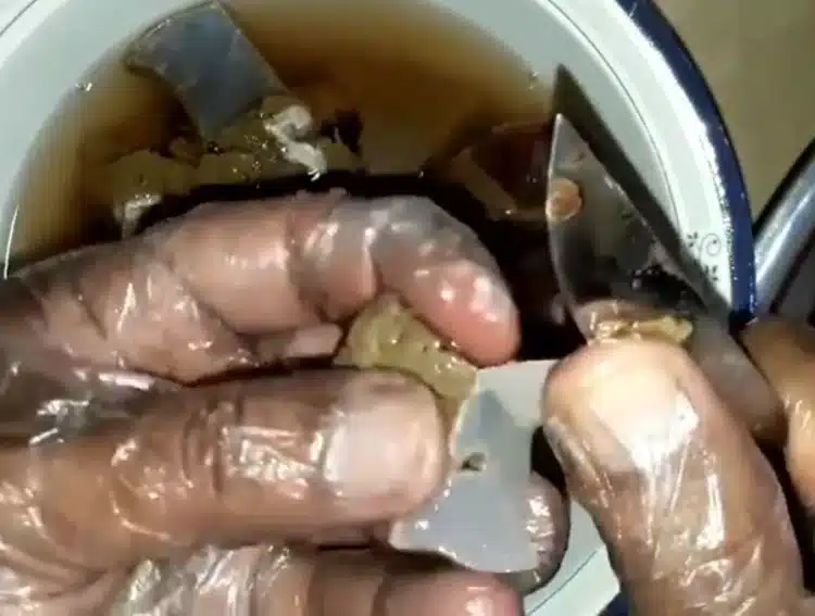 removing outer white membrane from the liver pieces
